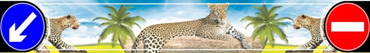 Брызговик задний длинномер "Леопард"( 2400 Х 350 )